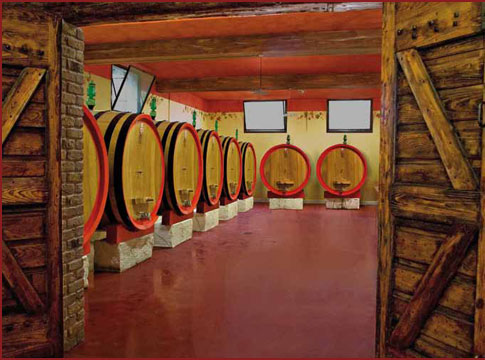 Azienda Agricola le Roggiole, notre cave à vin